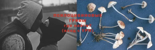 дживик Тобольск