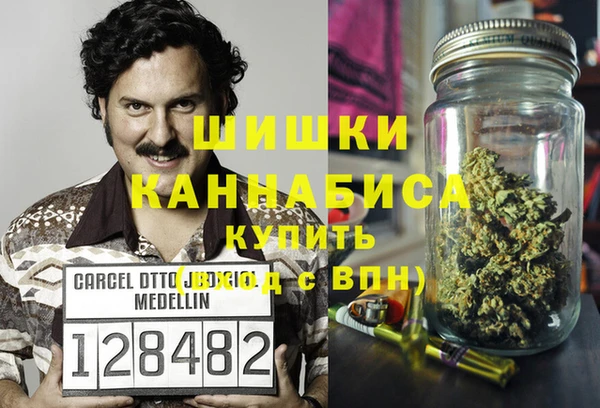 дурь Сясьстрой