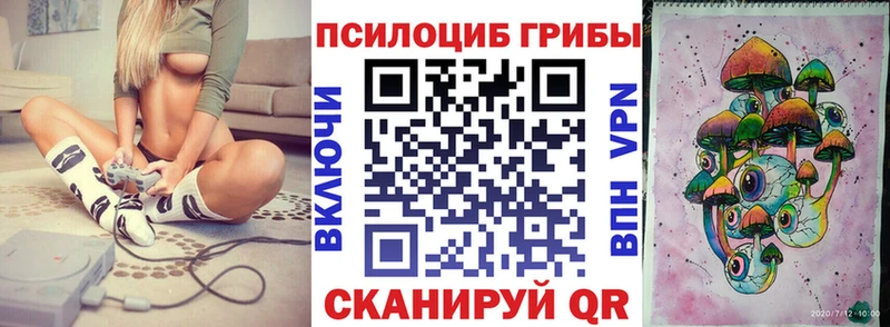 купить   даркнет формула  ссылка на мегу маркетплейс  Псилоцибиновые грибы Magic Shrooms  Козьмодемьянск 